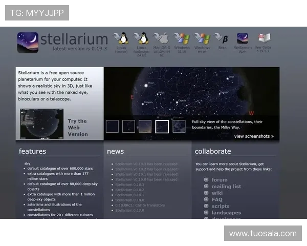 星空官方网站入口网址的重要性及其功能详解