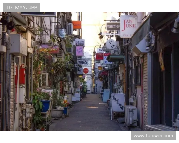 星空online角色养成技巧：打造专属强力角色的实用建议