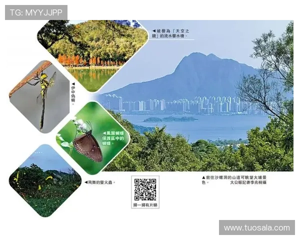 星空体育官方登录入口：便捷安全的体育娱乐平台登录指南