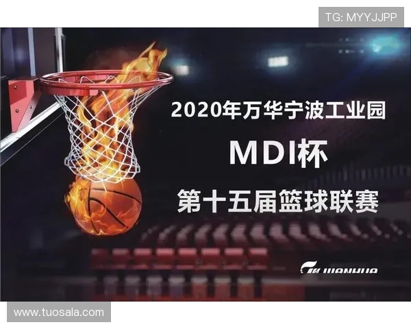 星空体育官网登录流程详解，帮助用户顺利进入平台享受精彩赛事