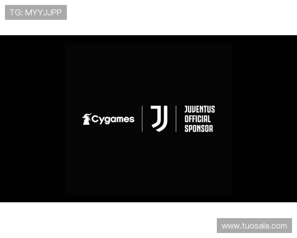 星空体育app入口如何快速登录到官方平台详细指南