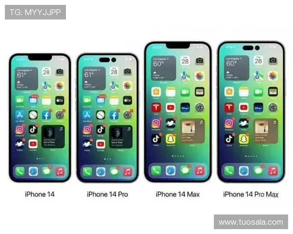 星空体育体育APP官网登录入口注册流程详解及账号激活指南