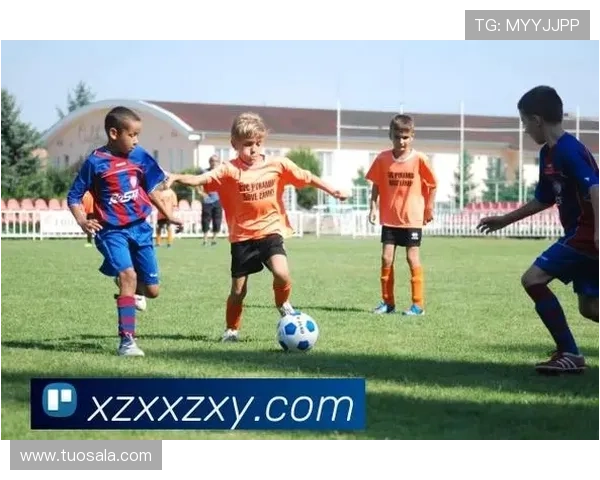 星空体育在线网站详尽介绍体育直播平台的特色功能和用户体验