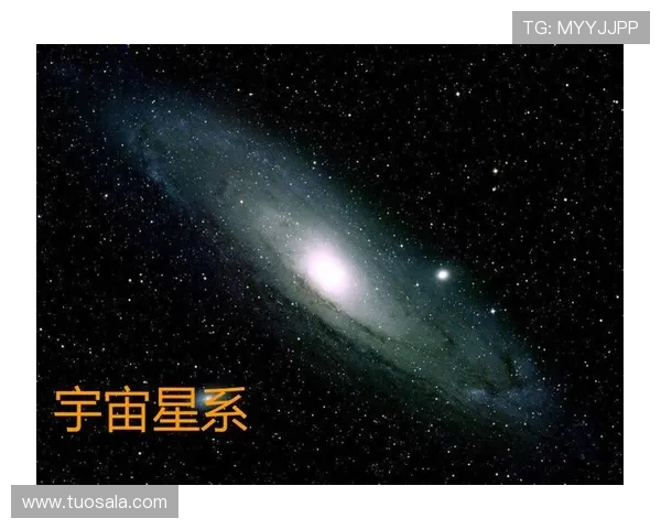 星空官方网站入口用户评论与反馈专区帮助你更好使用平台