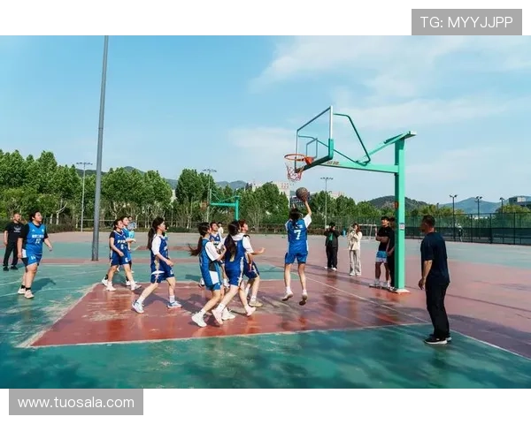 艾尚体育官网精彩赛事集锦，回顾每一个难忘的体育瞬间激发你的热情